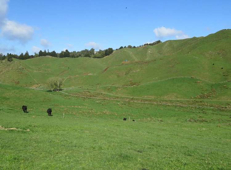 168 Pao Road Aria_22