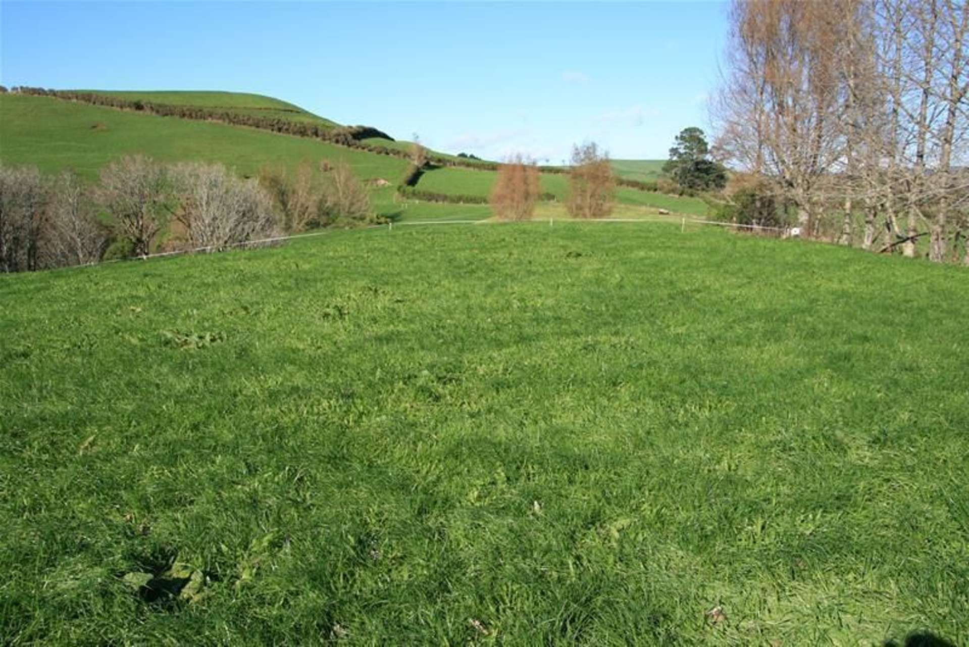 2 Davis Road Inglewood_0