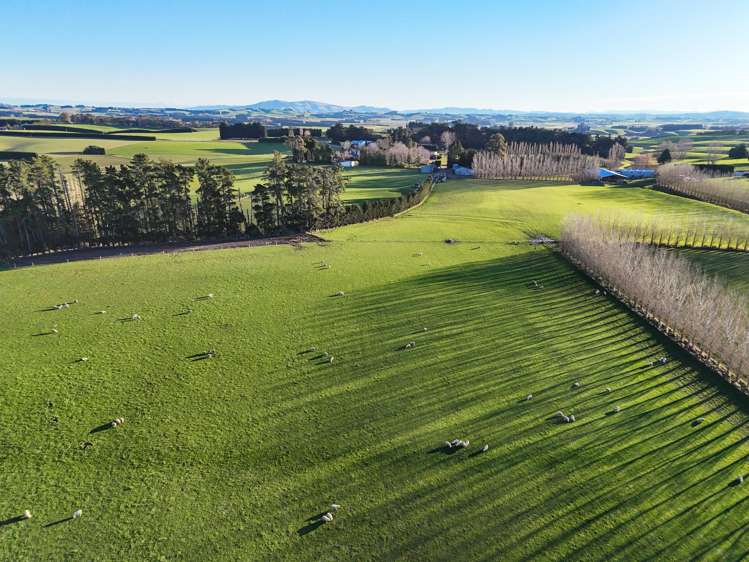 348 Koi Road Waikoikoi_22