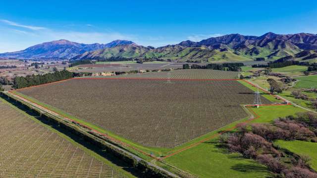 Passive lease income, premium Awatere Valley