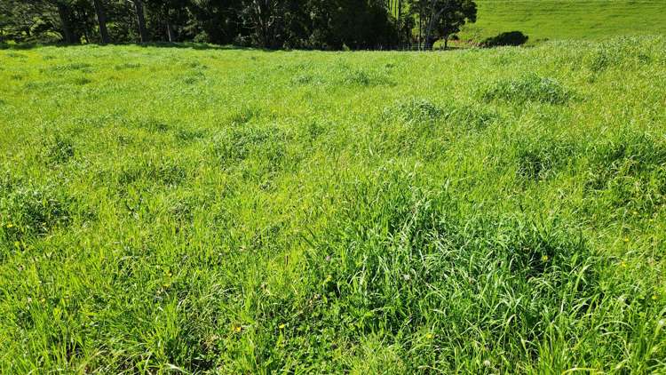 133 Kaimata Road Kaimata_13