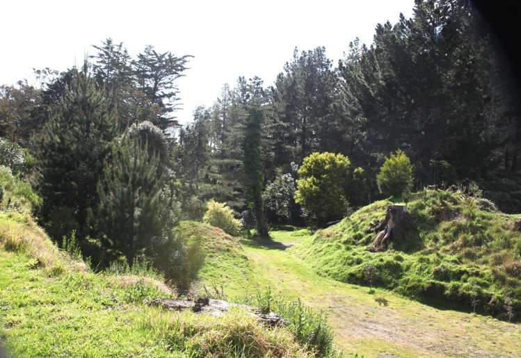 66 Palmer Road Foxton Beach_48