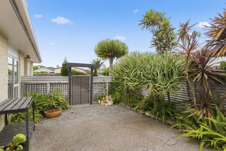 49B Olive Terrace Paraparaumu Beach_18