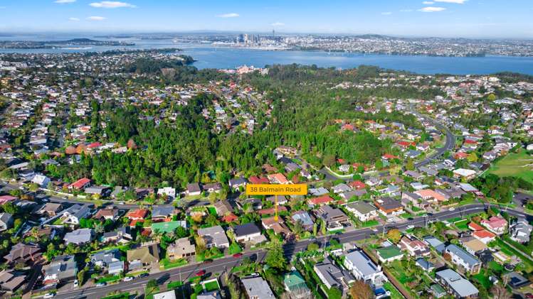 38 Balmain Road Chatswood_8