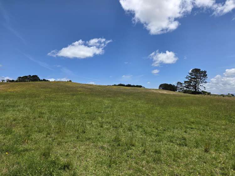 Mount Wesley Coast Road Dargaville_3