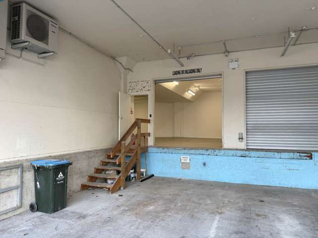 34 Dacre Street Eden Terrace_4