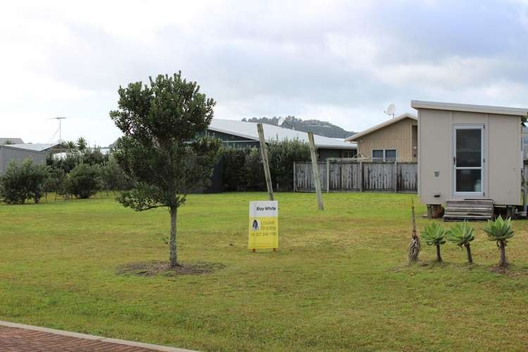 104 Nikau Close Matarangi_8