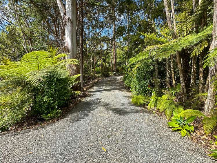 168 Dip Road Kaeo_29