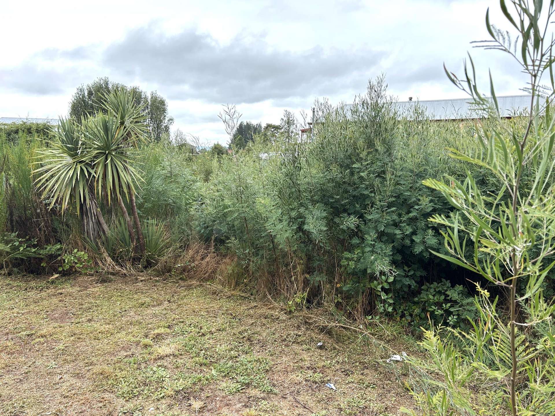 32 Hart Street Blackball_0