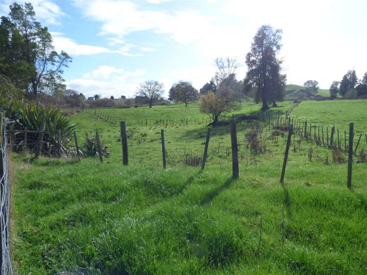 1006 Mangarino Road Hangatiki_32