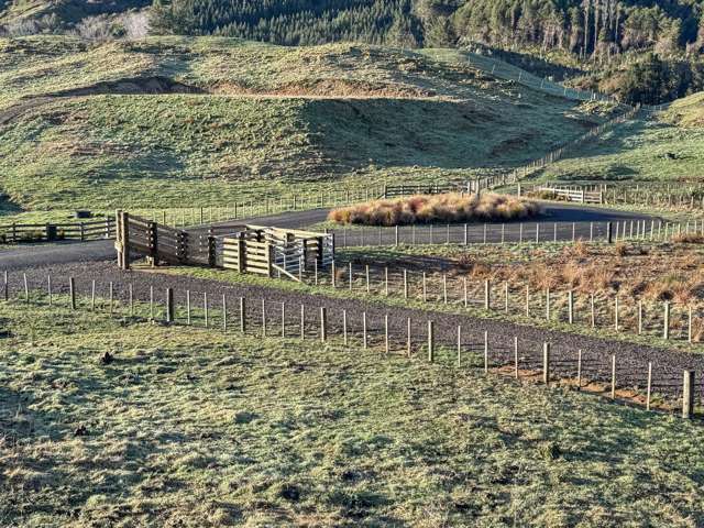 Waipapa Way Manawahe_4