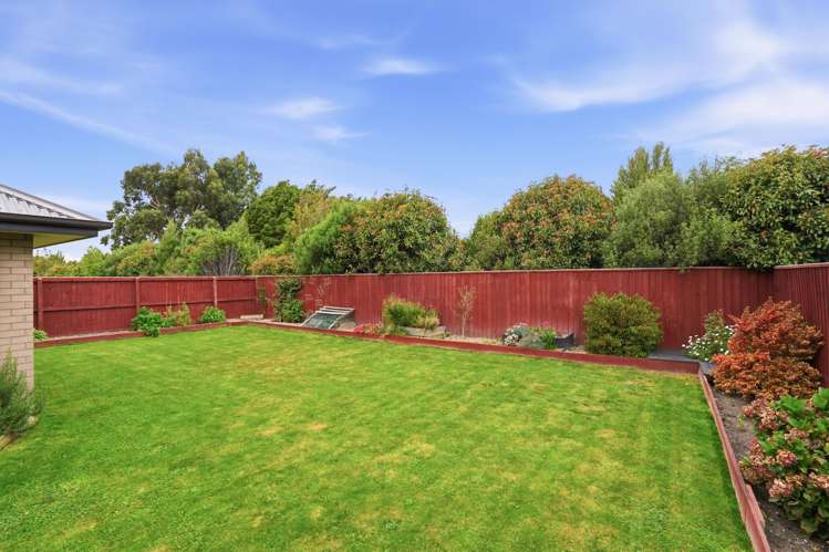 16 Pallid Green Rolleston_15