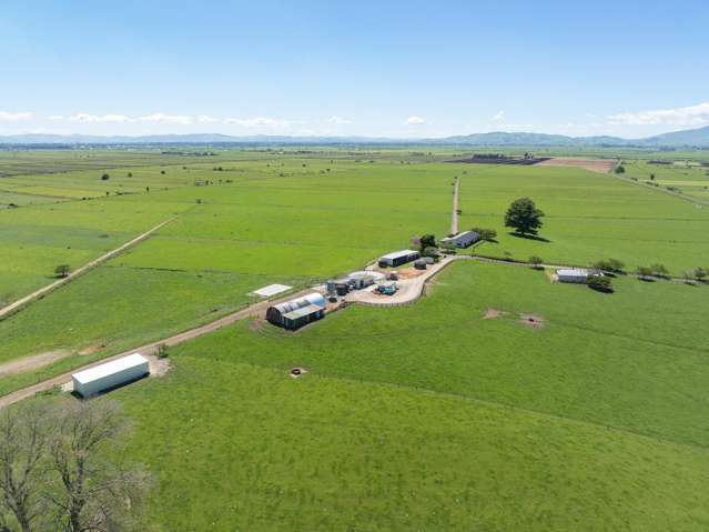 Convenient location, diverse opportunities