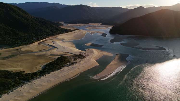 49 Awaroa Inlet Awaroa_20