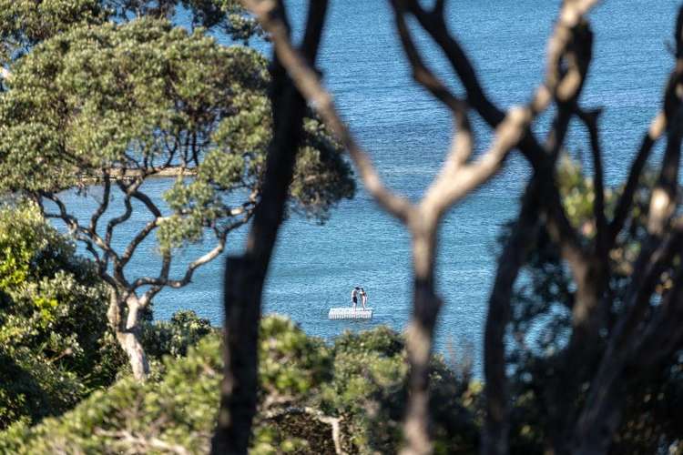 41 Beach Road Castor Bay_12