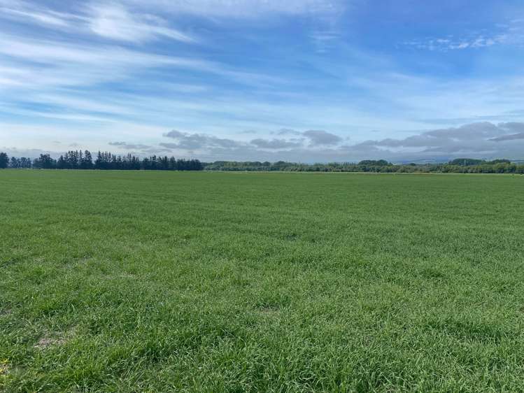 311 Hamilton Road Fairlie_1