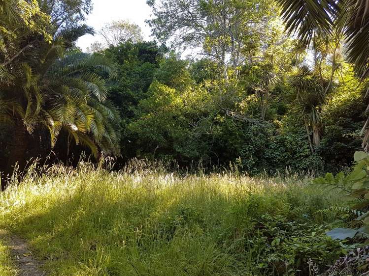 Torea Moua Bay Marlborough_15