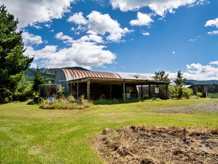 424A Hot Springs Road Katikati_43