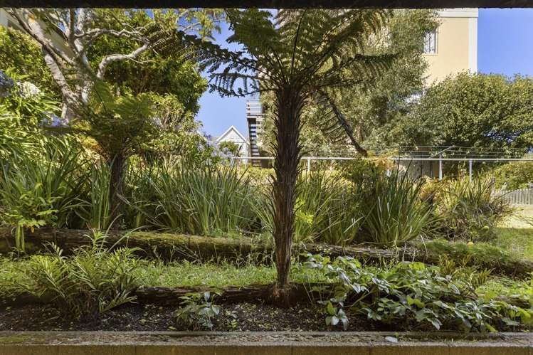 2/29 Hamilton Road Hataitai_11