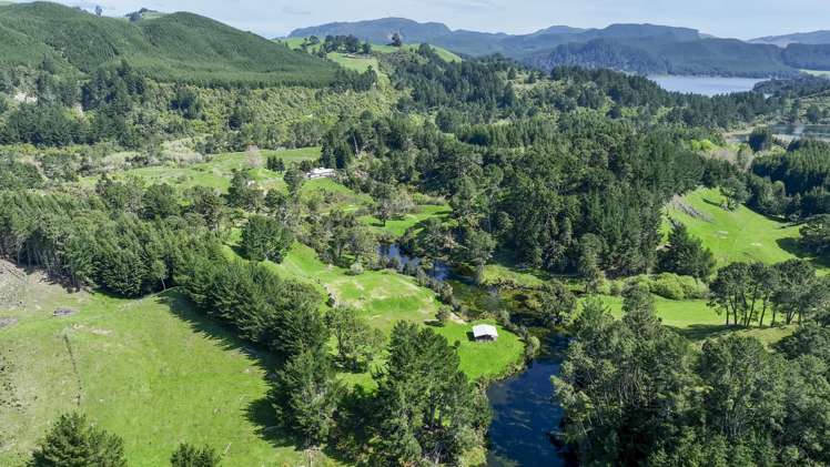 294b Dods Road Waikite Valley_7