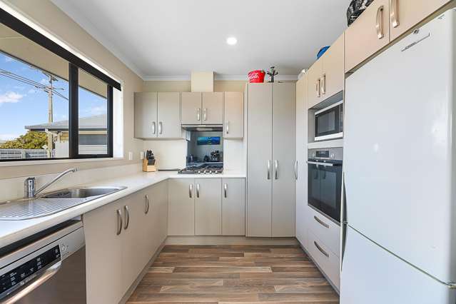 28 Anglesea Street Renwick_4