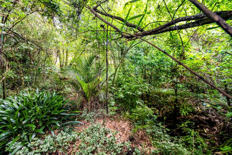 3 High Road Hawera_32