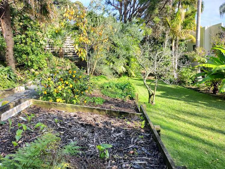 100 The Terrace Thames_28