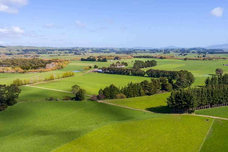 108 Pukewhai Road Pahiatua_0