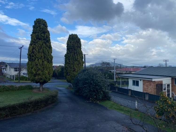 342 Douglas Avenue Te Awamutu_11