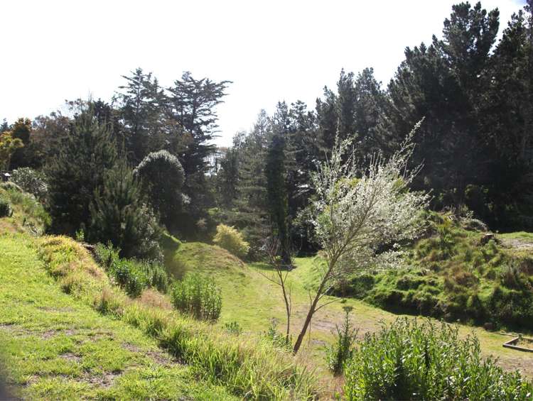 66 Palmer Road Foxton Beach_47