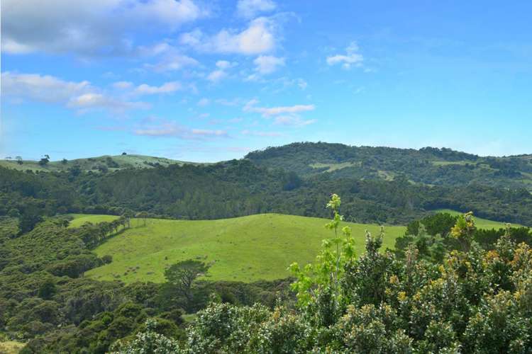 135 Hillcrest Road Hatfields Beach_23