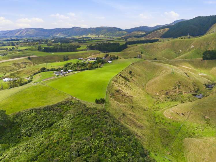 100 Heights Road Shannon_10