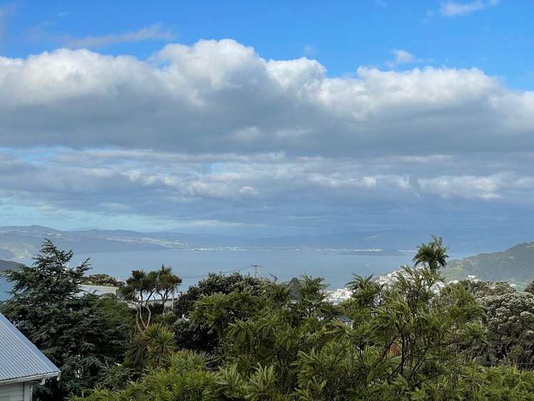 74 Mitchell Street Brooklyn_0