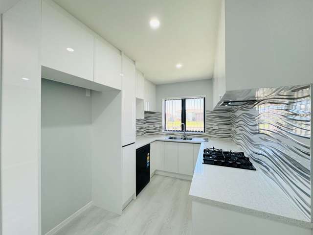 66A Maplesden Drive Clendon Park_2