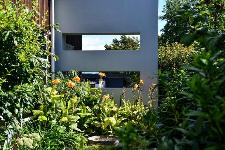 61c Ellicott Road Nawton_6