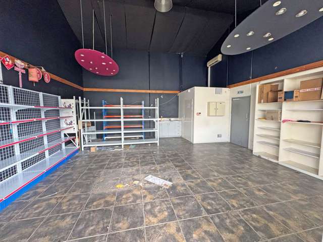 Unit B12/345 Chapel Road Flat Bush_2