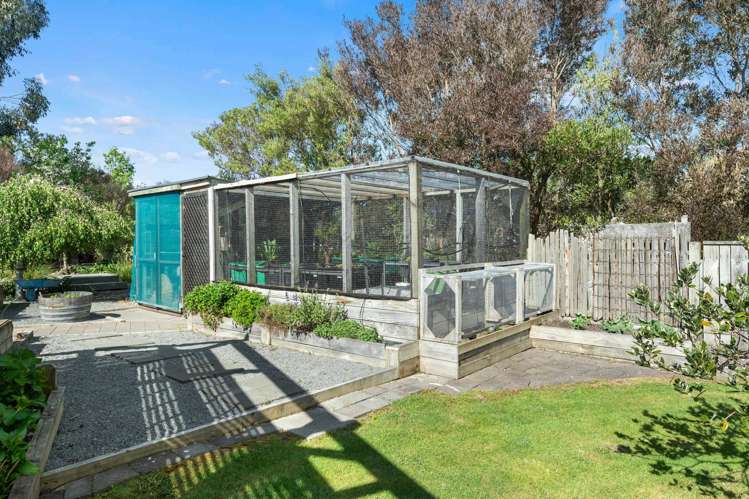32B Millard Avenue Kuripuni_24