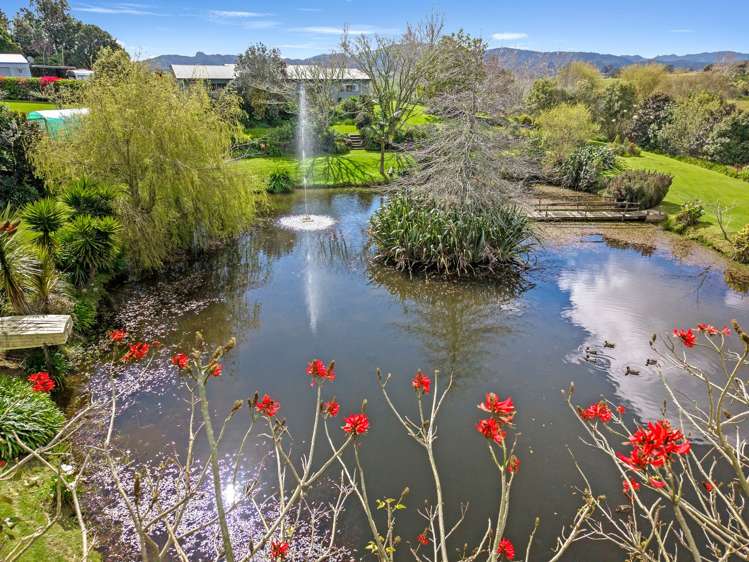 320 Kaiwaka-Mangawhai Road Kaiwaka_29