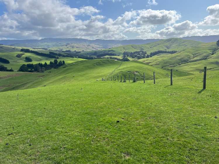 463 Waihi Valley Rd Dannevirke_2