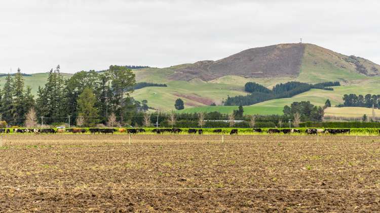 205 Barrs Road Sheffield_22