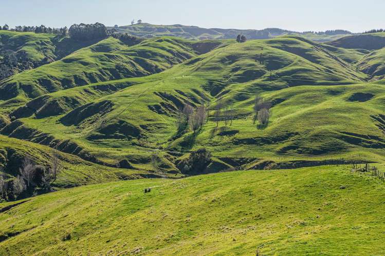 717k Puketitiri Road Puketapu_35