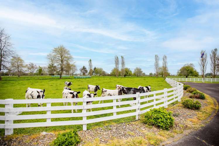 976 State Highway 26 Eureka_6