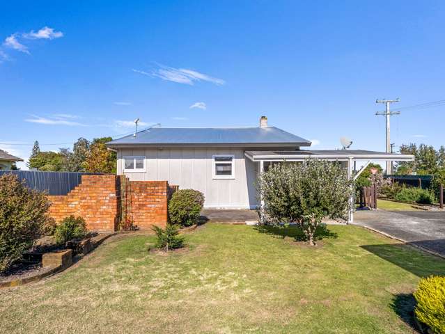 124 Weraroa Road Waverley_4