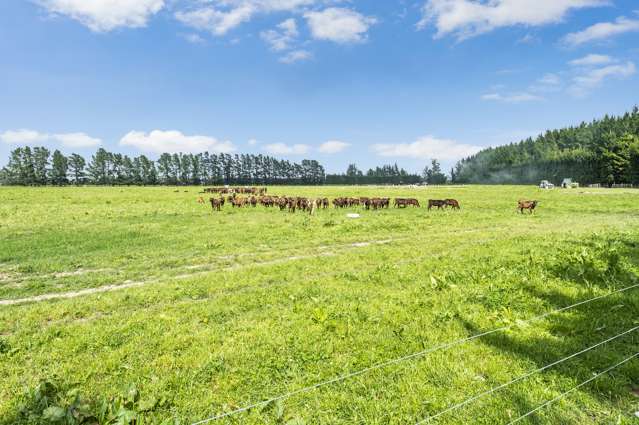 1797 West Coast Road Kirwee_3