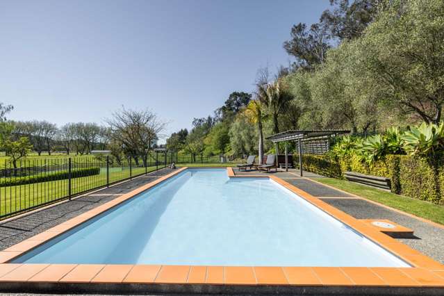 577 State Highway 5 Eskdale_4