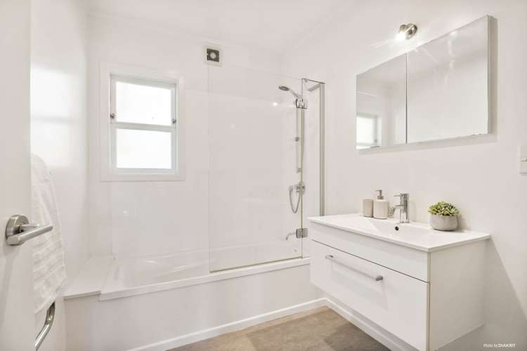 12a Shirley Road Grey Lynn_18