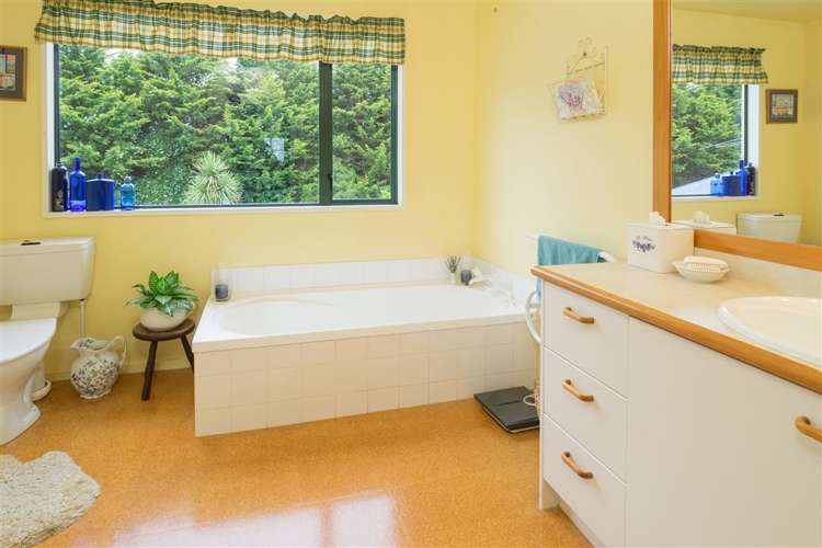 117 Grove Street Tinwald_12