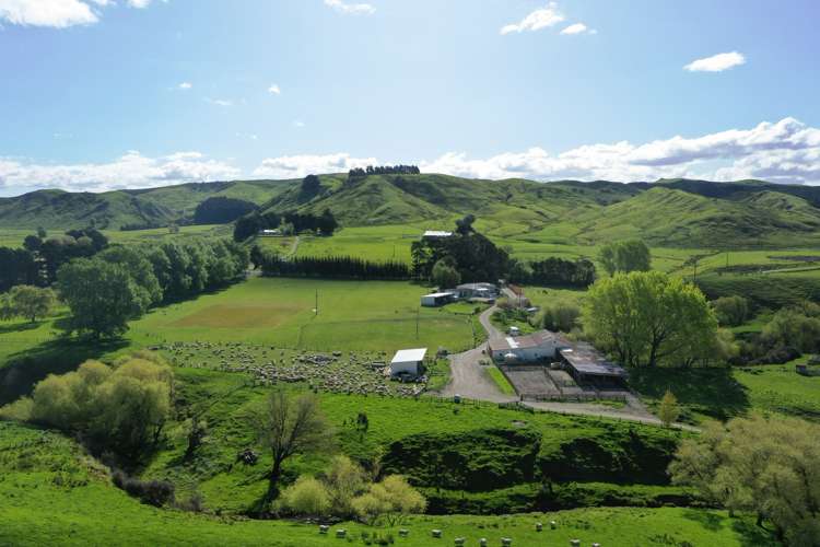 188 Waikakahi Road Pongaroa_11