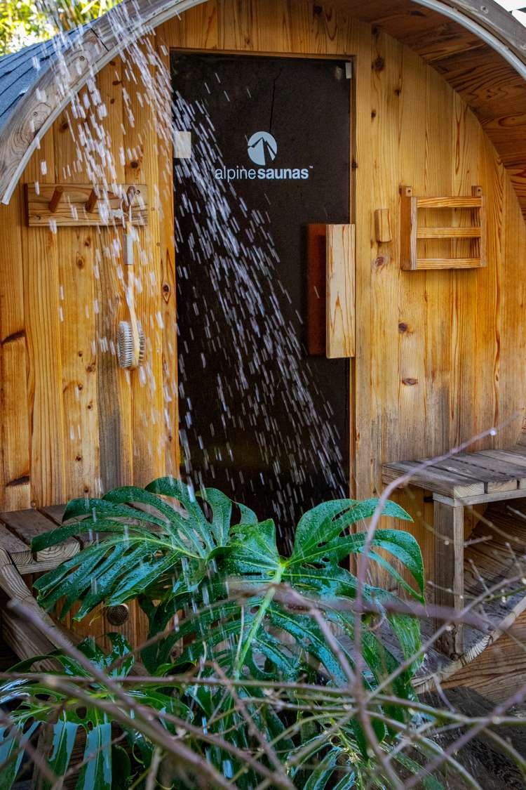 30 Premier Avenue Point Chevalier_25