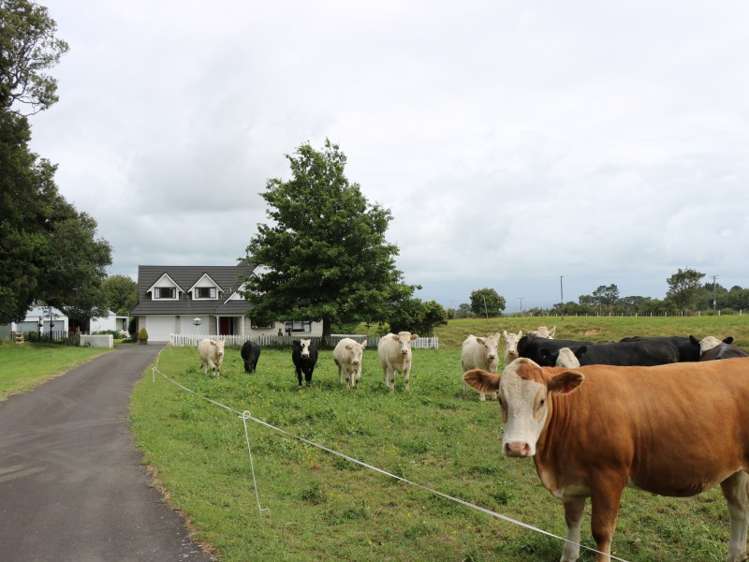 496 Tapapa Road Tapapa_12